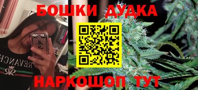 трава Кингисепп