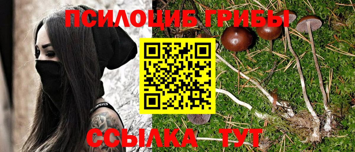 Галлюциногенные грибы ЛСД Кубинка