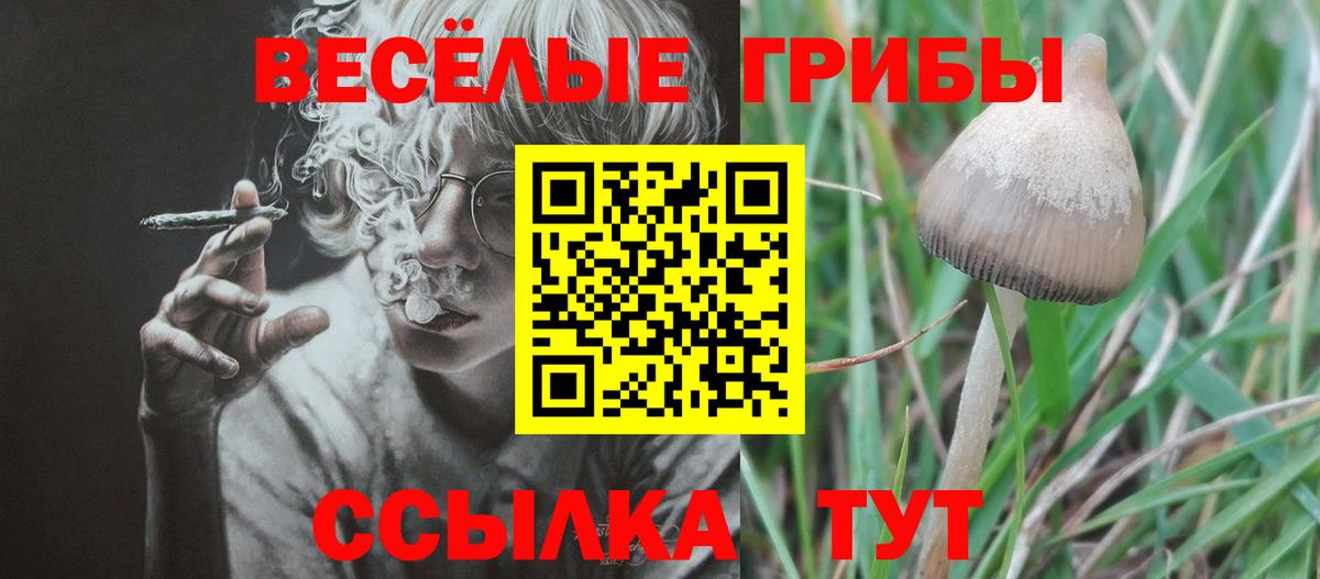 Галлюциногенные грибы GOLDEN TEACHER  Вход с VPN  Псилоцибиновые грибы Psilocybine cubensis  Кубинка 